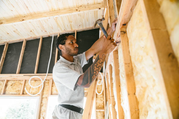Best Professional Insulation Contractor  in Barron, WI